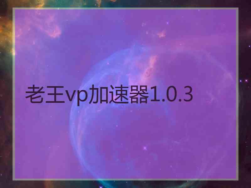 老王vp加速器1.0.3