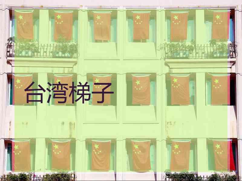 台湾梯子