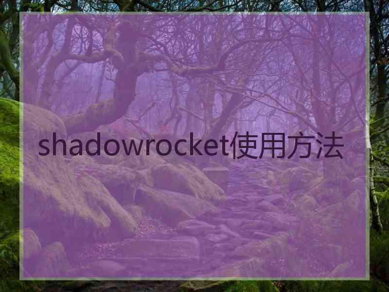 shadowrocket使用方法
