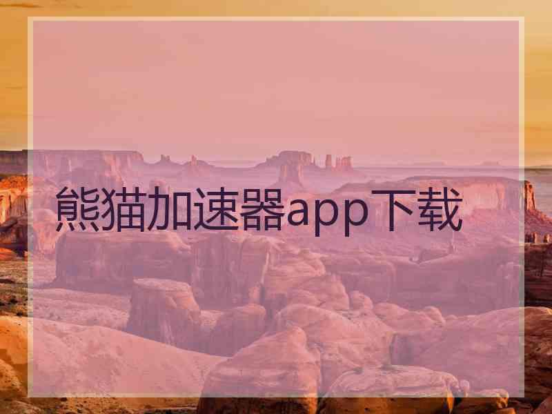 熊猫加速器app下载