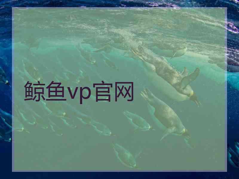 鲸鱼vp官网