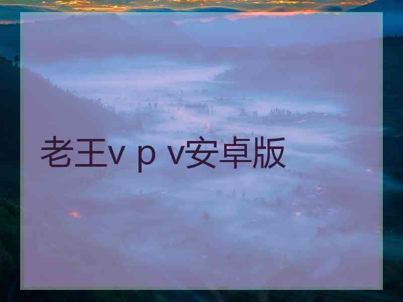 老王v p v安卓版
