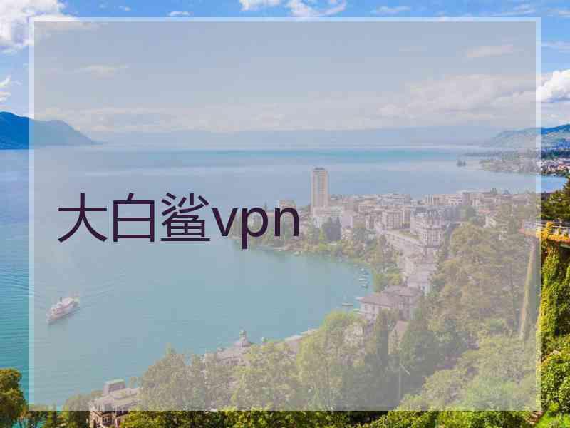 大白鲨vpn