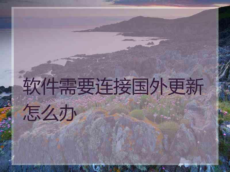 软件需要连接国外更新怎么办