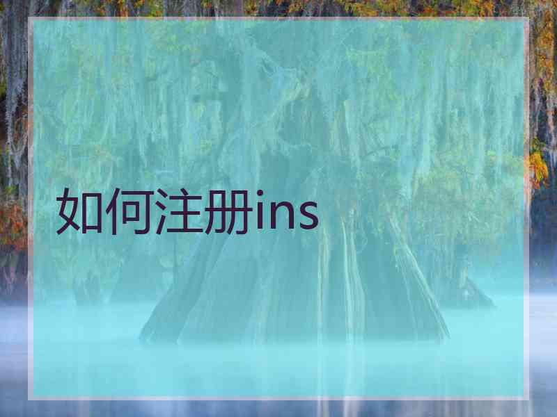 如何注册ins