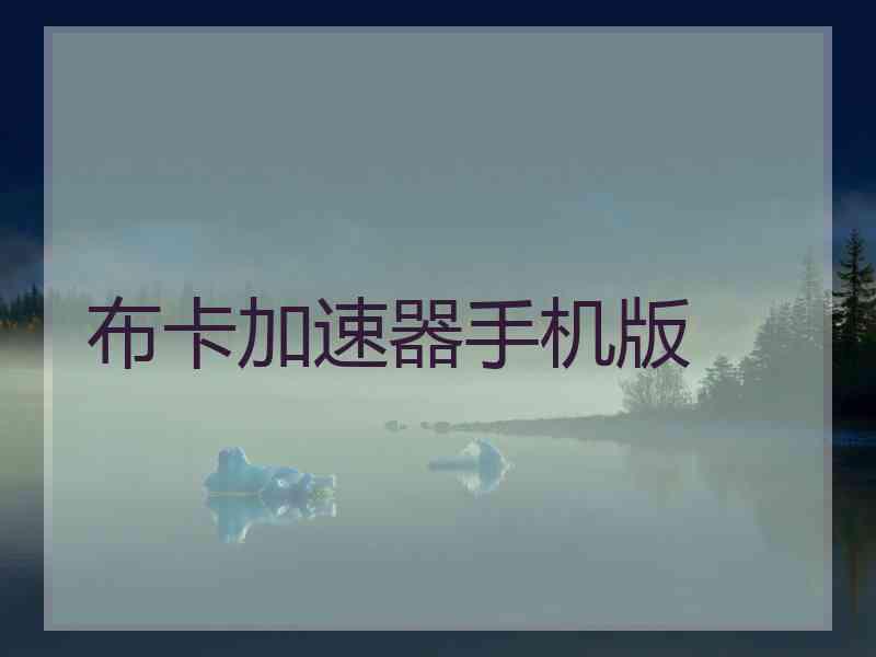 布卡加速器手机版