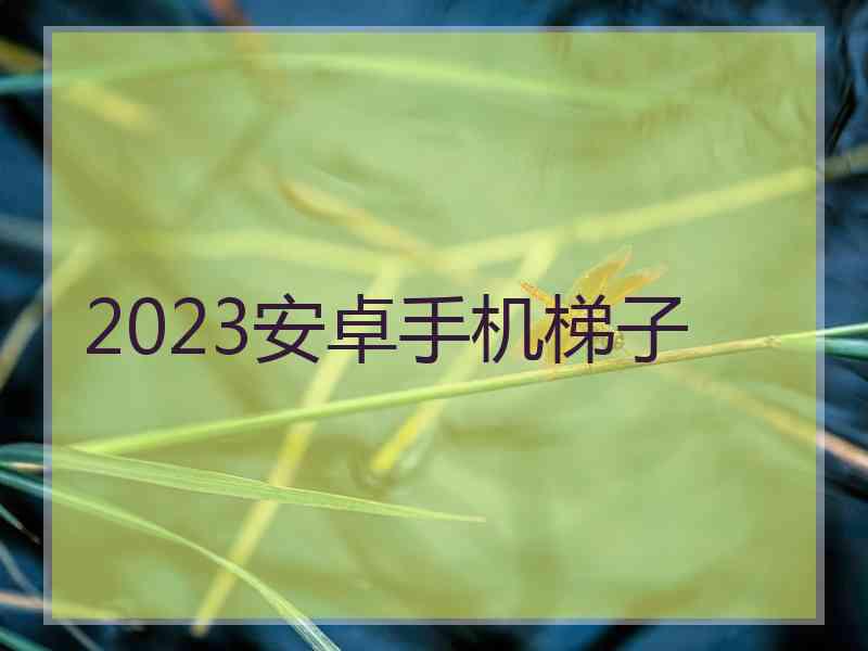 2023安卓手机梯子